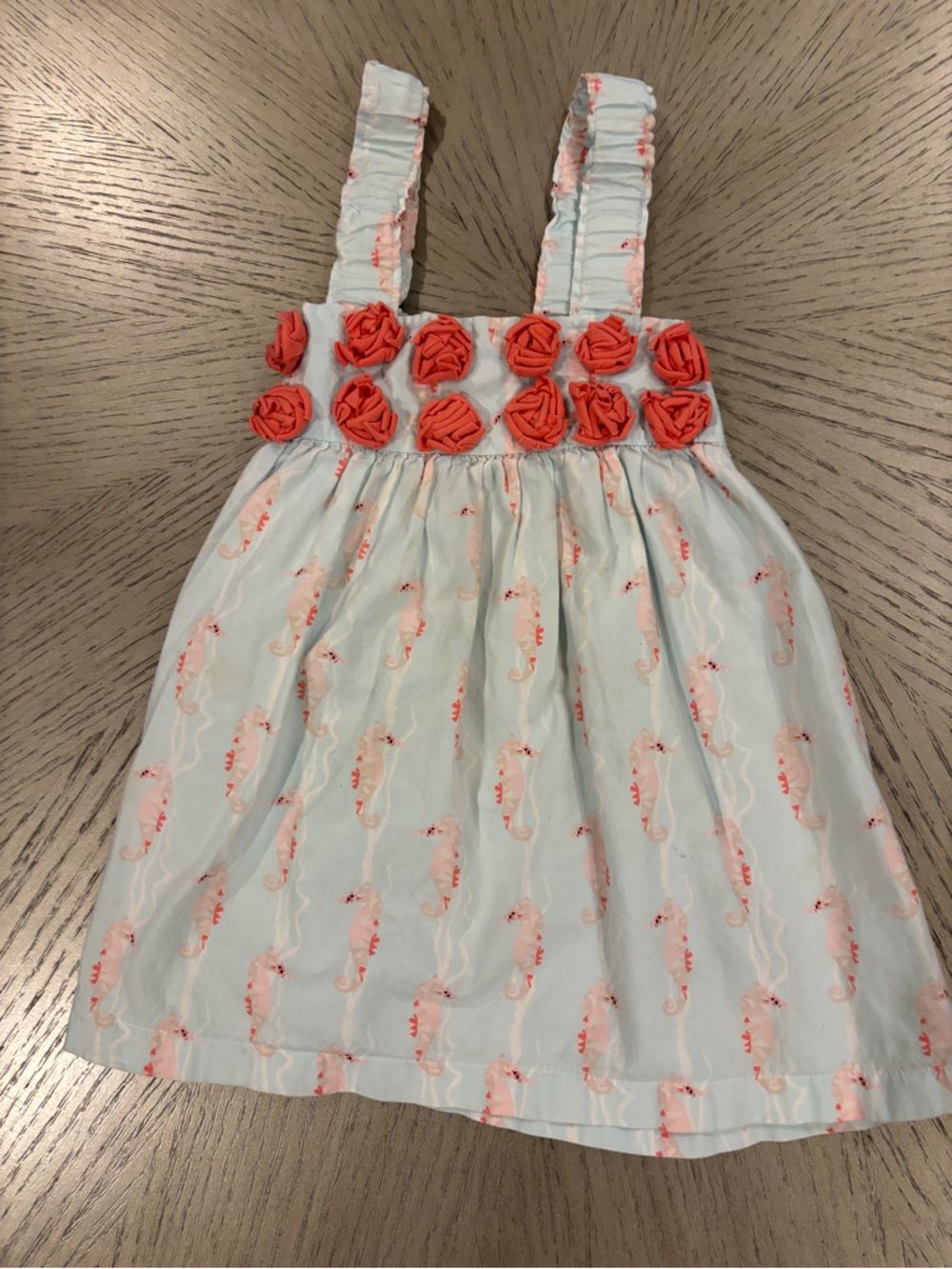 Girls Light Blue Sundress with Coral Rosettes